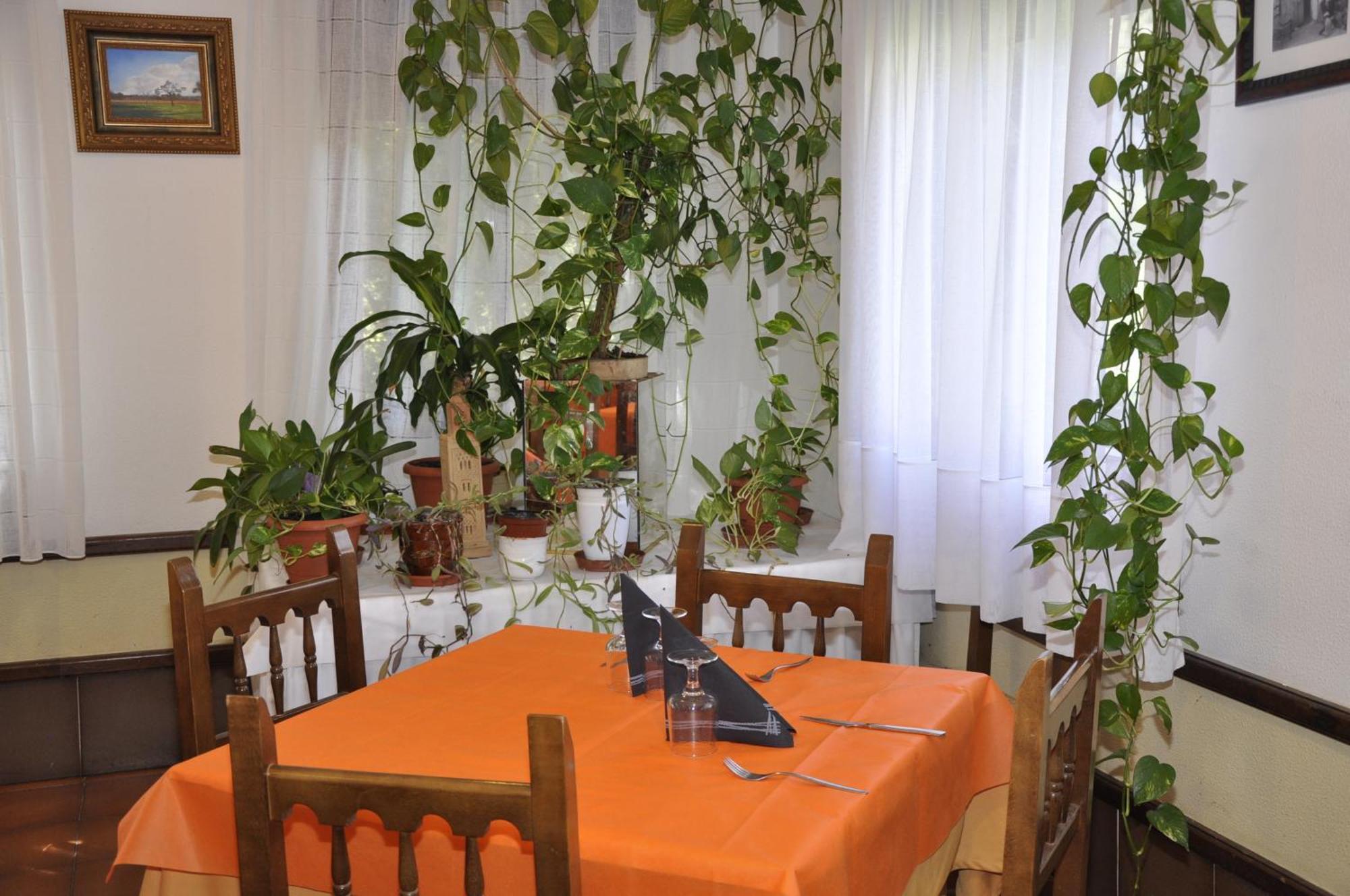 Hotel Castillo D'Acher Siresa Zewnętrze zdjęcie
